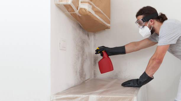 Professional Bathroom Mold Removal technician working in Hutto, TX