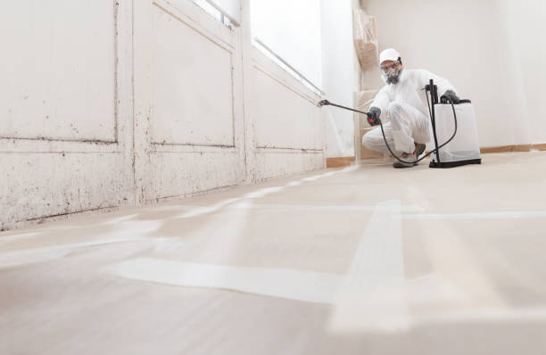 24/7 Emergency Bathroom Mold Removal experts in Hutto, TX