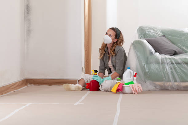Reliable Bathroom Mold Removal contractor in Hutto, TX by Mold Remediation HQ